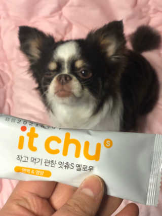 띠띠님이 올린 리뷰 사진 3