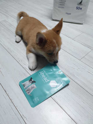 뿐뿐이님이 올린 리뷰 사진 3