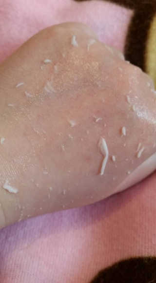 fellica님이 올린 리뷰 사진 3