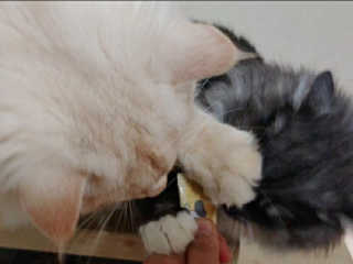 Lim님이 올린 리뷰 사진 3
