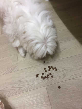 홍지윤님이 올린 리뷰 사진 4
