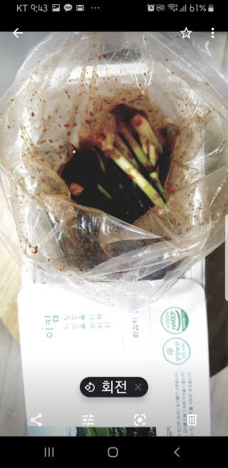 보리엄마님이 올린 리뷰 사진 2