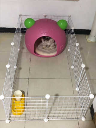지안교님이 올린 리뷰 사진 1