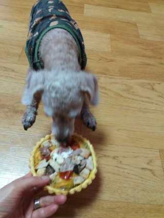 쪼꼬사랑이언니님이 올린 리뷰 사진 3
