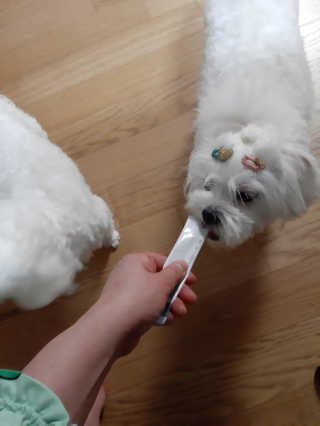 부산댁님이 올린 리뷰 사진 4