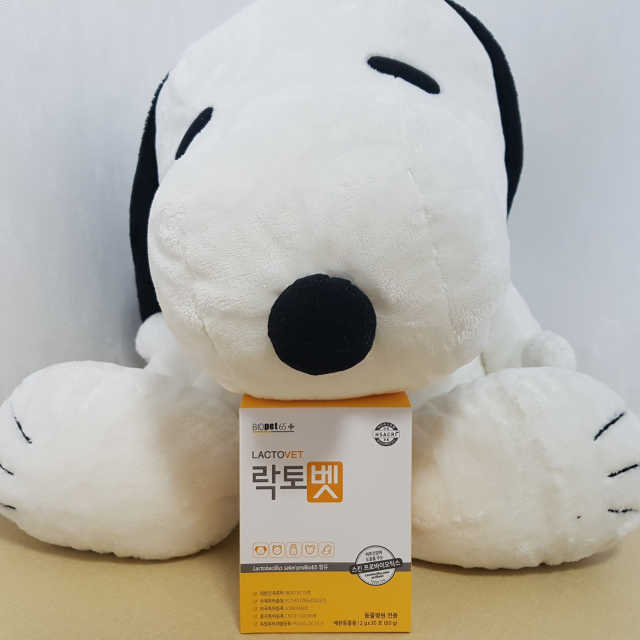 [프로바이오닉]락토벳 리뷰 사진