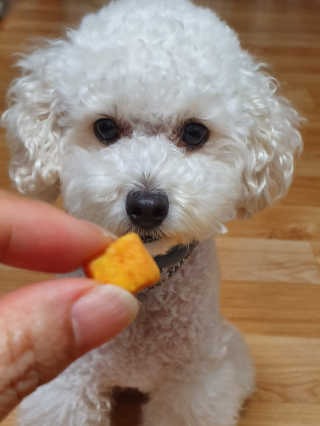 호두맘님이 올린 리뷰 사진 1