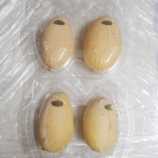 JIN님이 올린 리뷰 사진 1