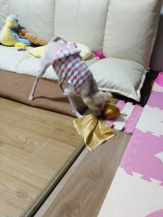 고가을님이 올린 리뷰 사진 2