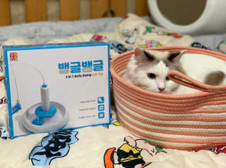 랑이랑도리님이 올린 리뷰 사진 3
