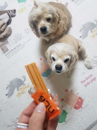 한지수님이 올린 리뷰 사진 2