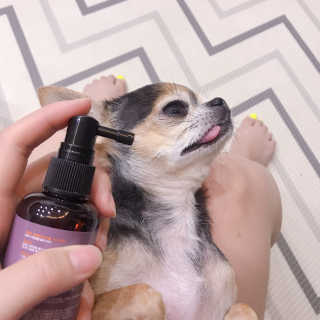 제리톰레나님이 올린 리뷰 사진 2