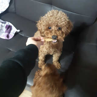 seni님이 올린 리뷰 사진 3