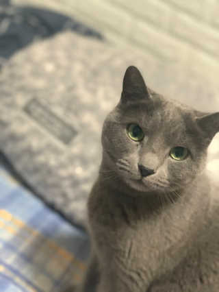 경인님이 올린 리뷰 사진 1