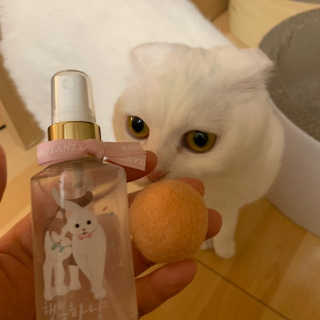 michichi208님이 올린 리뷰 사진 3