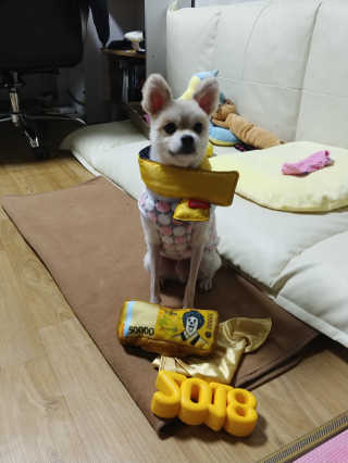 고가을님이 올린 리뷰 사진 1