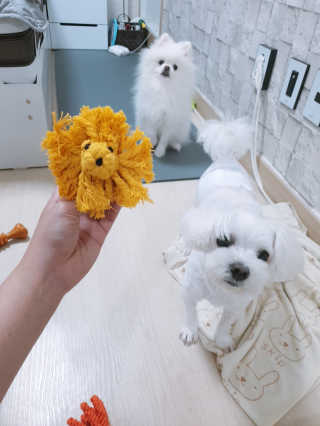 황선아님이 올린 리뷰 사진 3