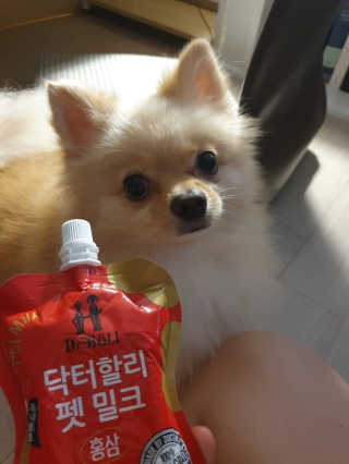 포비탄님이 올린 리뷰 사진 1