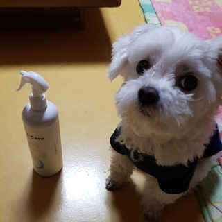 배선아님이 올린 리뷰 사진 3
