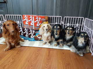 5_daks님이 올린 리뷰 사진 1