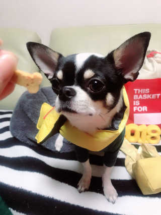 HyeSongYoon님이 올린 리뷰 사진 2