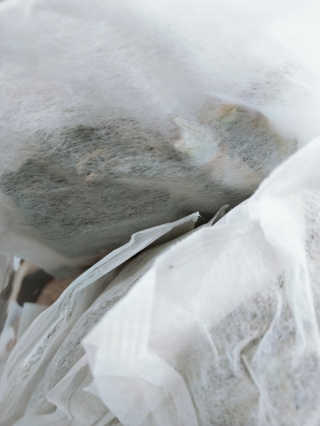 주연님이 올린 리뷰 사진 2