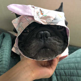 매화님이 올린 리뷰 사진 1