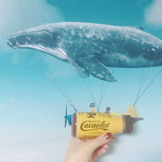 카카오랏 오리지널 24개입 — 5점을 준 리뷰어가 2018년 1월 올린 사용 사진