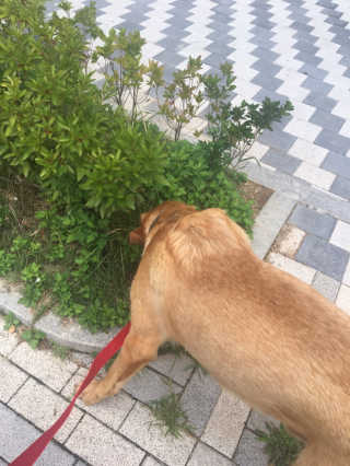 보니보니님이 올린 리뷰 사진 4