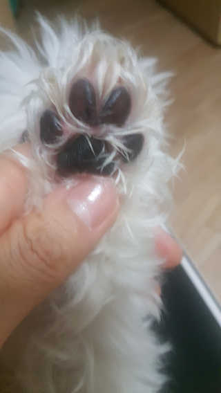바이롱소녀님이 올린 리뷰 사진 2