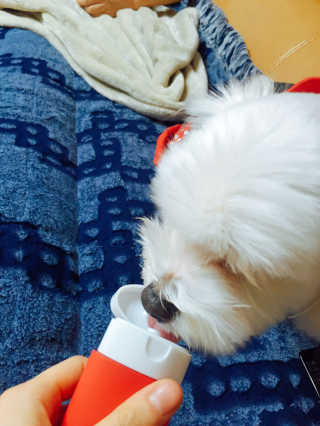 myaa0403님이 올린 리뷰 사진 3