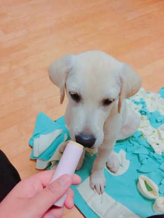 JawSung님이 올린 리뷰 사진 1