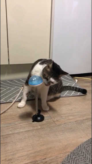 거니건이님이 올린 리뷰 사진 1