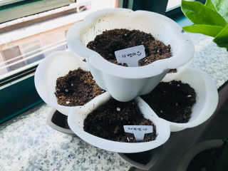 이한마음님이 올린 리뷰 사진 1