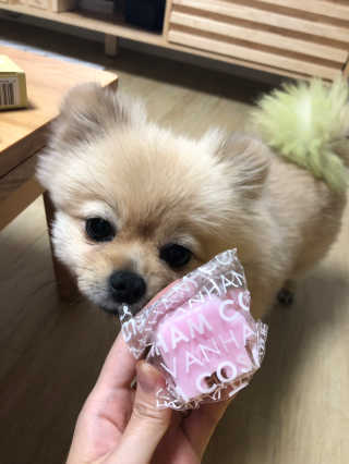 berryjjung님이 올린 리뷰 사진 3