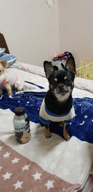 mie92님이 올린 리뷰 사진 3