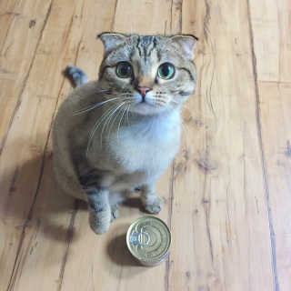 jjangmi님이 올린 리뷰 사진 2