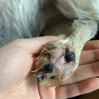 zhhhu님이 올린 리뷰 사진 3