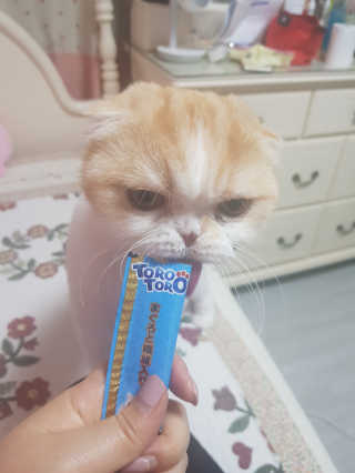 소피마르소님이 올린 리뷰 사진 3