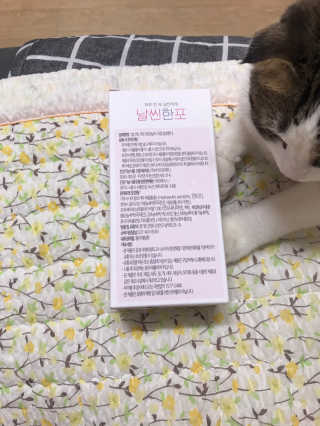 웅히릿맘님이 올린 리뷰 사진 2