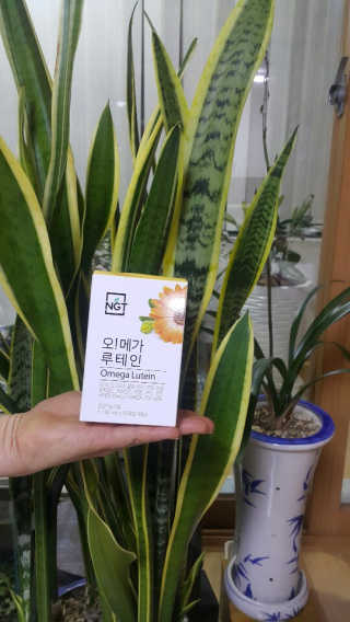네츄럴굿띵스 오!메가루테인 60일분 — 5점을 준 리뷰어가 2019년 2월 올린 사용 사진