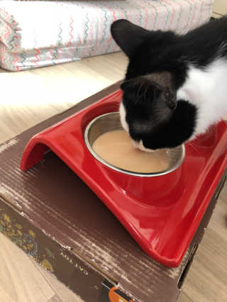 됴이님이 올린 리뷰 사진 3