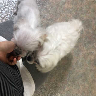 muy0214님이 올린 리뷰 사진 4