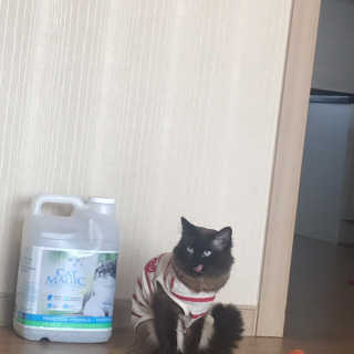 송주미님이 올린 리뷰 사진 3