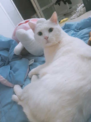 김서영님이 올린 리뷰 사진 4