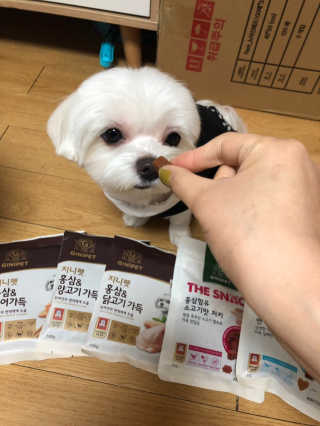 콩순이엄마님이 올린 리뷰 사진 1