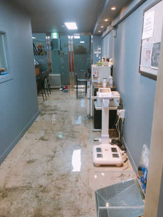 유블리님이 올린 리뷰 사진 2