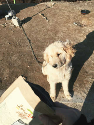 손윤지님이 올린 리뷰 사진 4