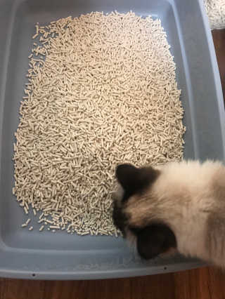 pure님이 올린 리뷰 사진 1