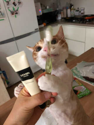 JihyeCheong님이 올린 리뷰 사진 2